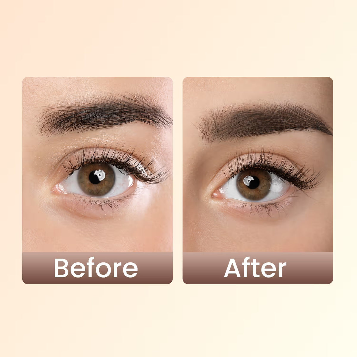 Swiss Beauty Brow Definer Pencil - 03 Deep Brown