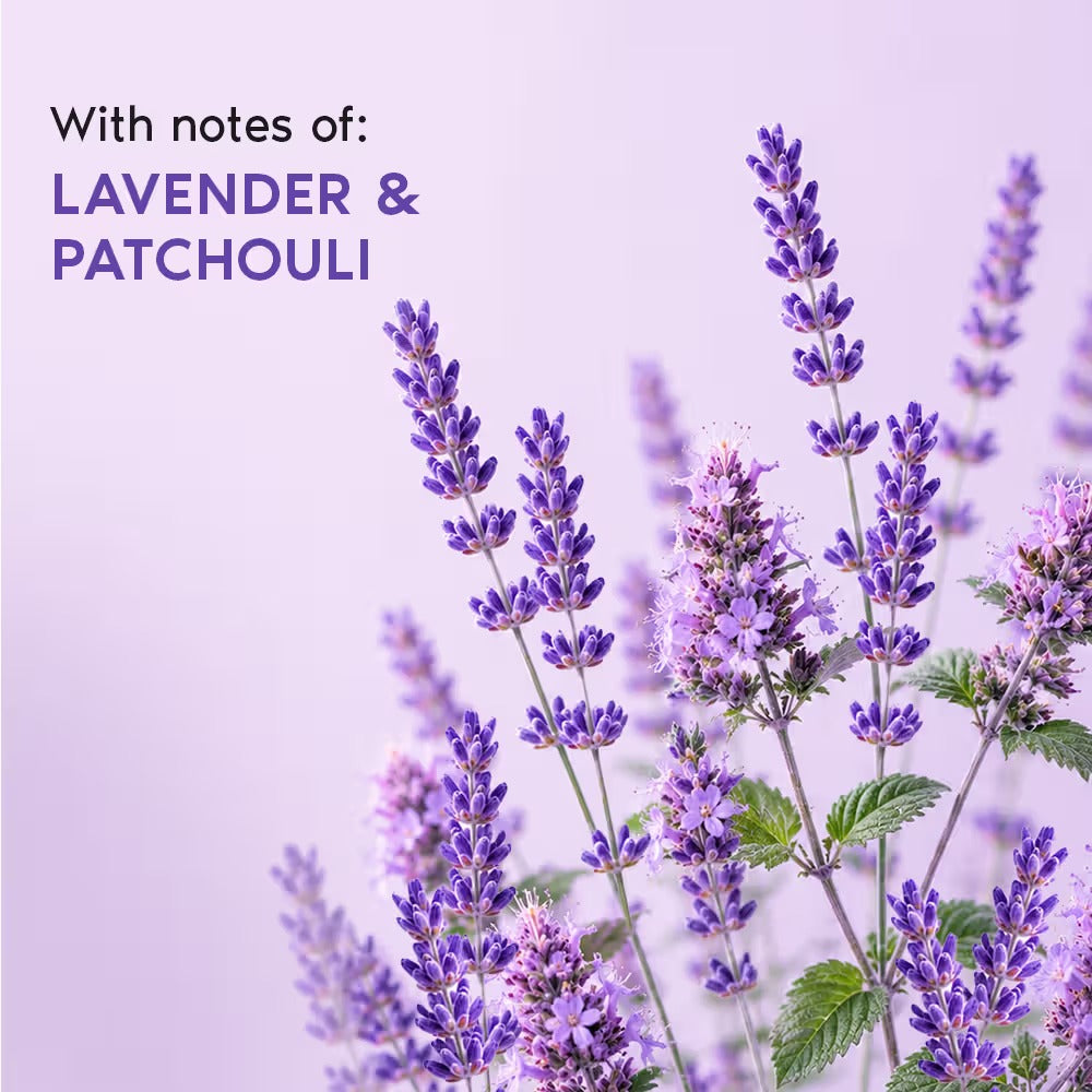 Nykaa Wanderlust French Lavender Body Wash – Lavender and Patchouli, 250ml