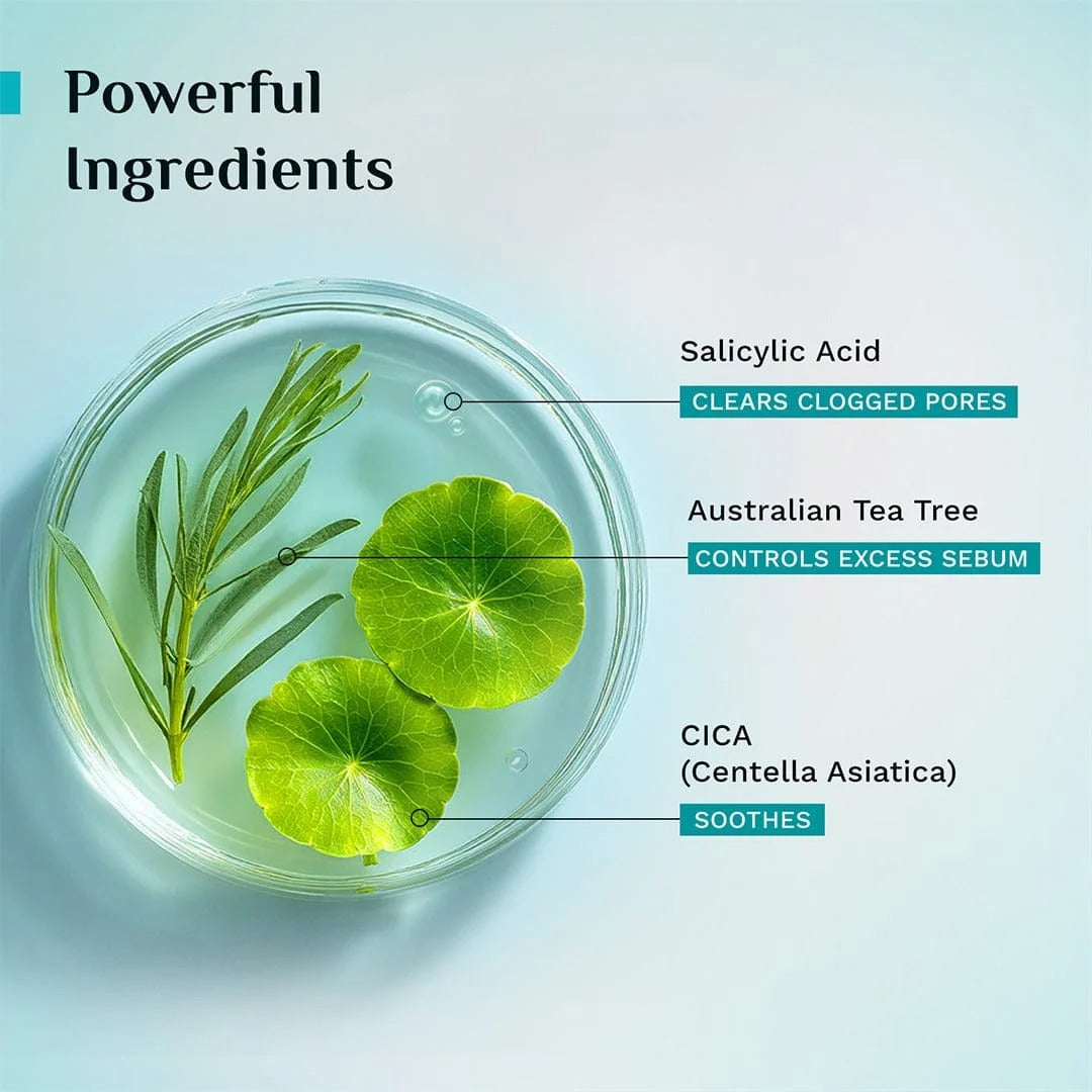 Pilgrim Tea Tree Purifying Gel Face Wash