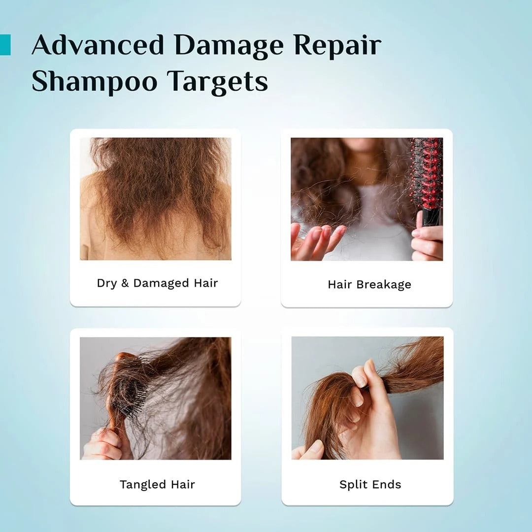 Pilgrim Korean Rice Water & Collagen Advanced Damage Repair Shampoo - [200ml]