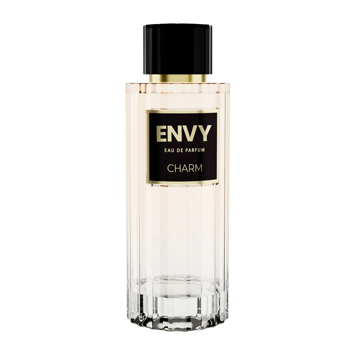Envy Charm Perfume for Women – [100ml]