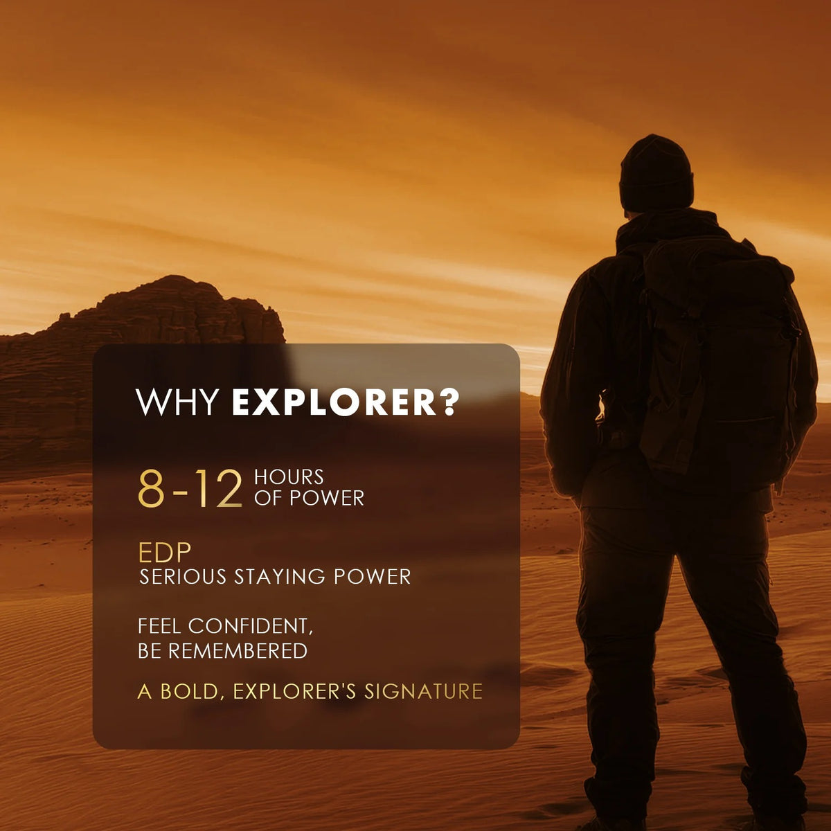 Envy Explorer Perfume for Men – [100ml]