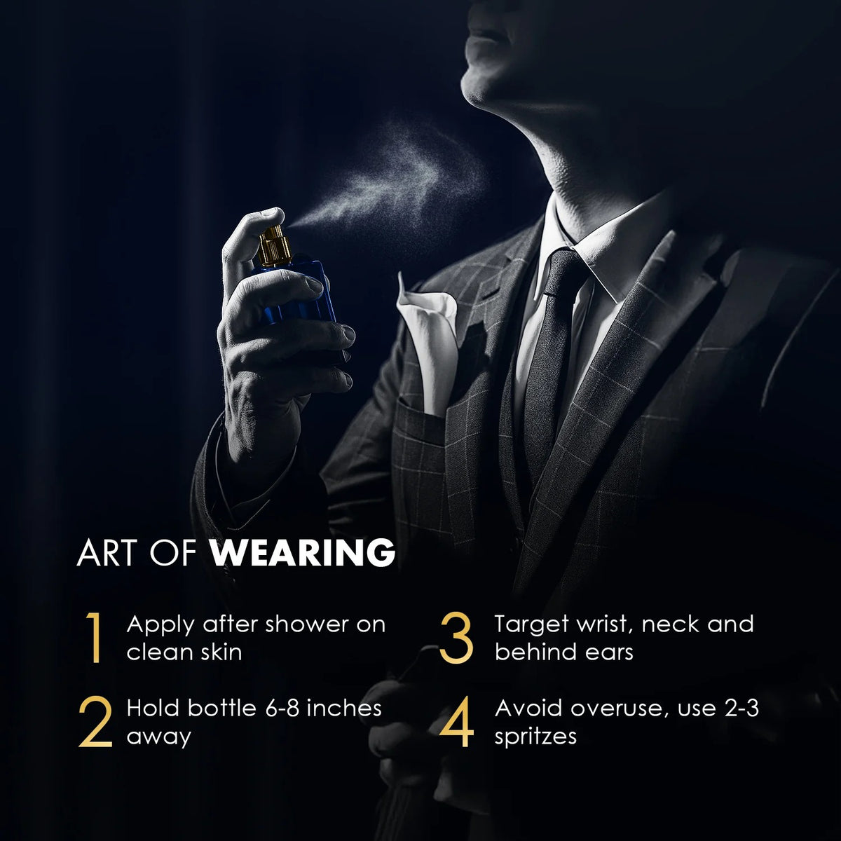 Envy Eminence Perfume for Men – [100ml]