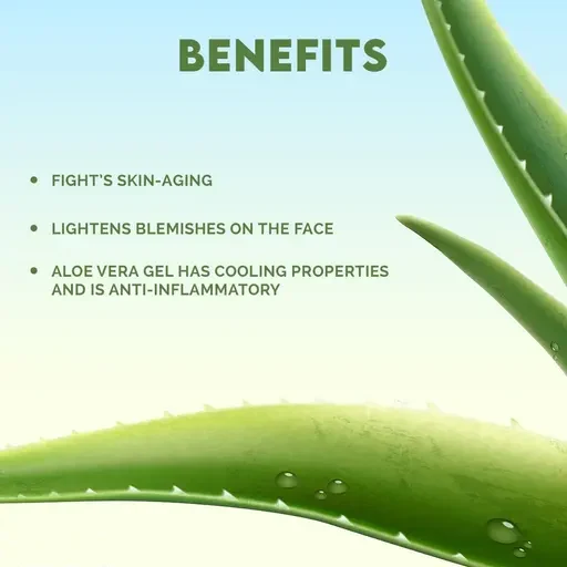 Jovees Aloe Vera Moisturising Lotion With Sandalwood | Oily, Sensitive Skin